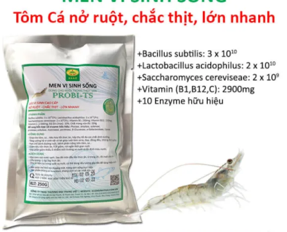 Tin tức