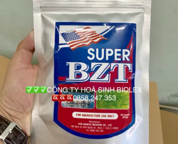 Tin tức