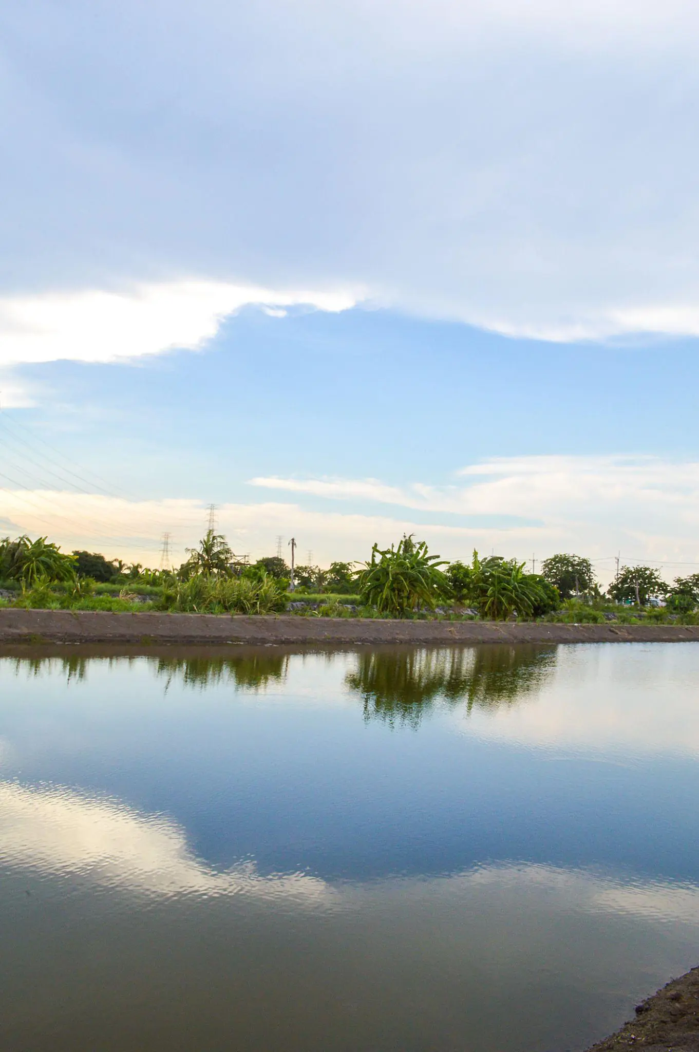 Sản Phẩm Chính Hãng
