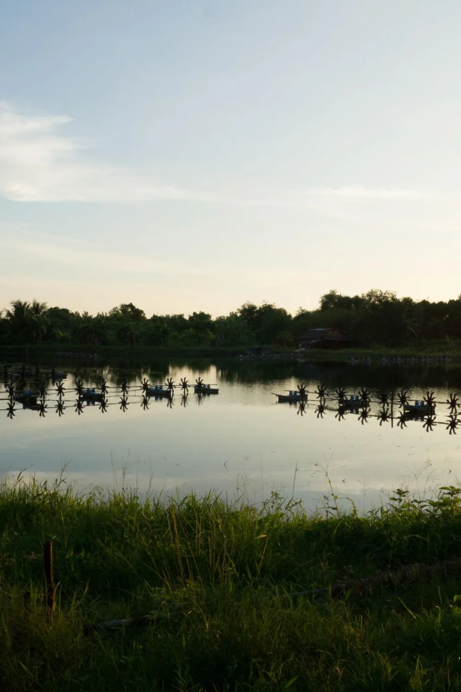 Sản Phẩm Đa Dạng