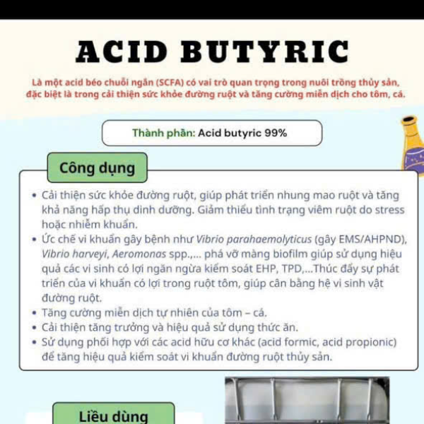 Acid Butyric Cho Tôm Cá – Bảo Vệ Đường Ruột, Phục Hồi Gan Tụy, Tăng Trưởng Bền Vững