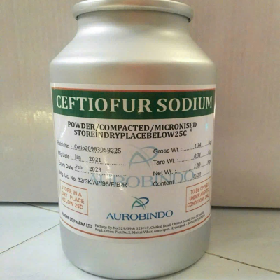 CEFTIOFUR SODIUM ✨ – Kháng Sinh Thế Hệ Mới