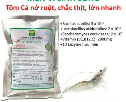 THÚ Y PHƯƠNG NAM